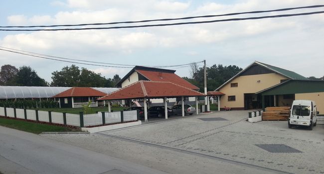 Porodična kuća Brkovića u Trbušanima, foto: PressLider
