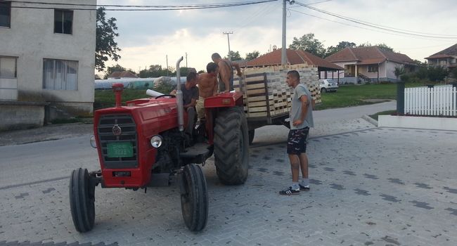 Neumorni radnici uvek u poslu, foto: PressLider