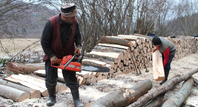 Od jutra do mraka u šumi, foto: Novosti