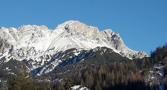 alpi8