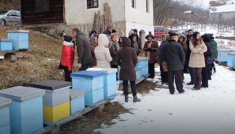 Dodeljeno po deset košnica ženama sa ruralnog područja, foto: B. Bojović / RAS Srbija