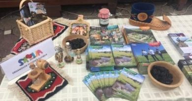 Raznovrsna turistička ponuda Zlatibora predstavljena u Temišvaru Raznovrsna turistička ponuda Zlatibora predstavljena u Temišvaru