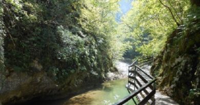 Visočka banja u turističkoj ponudi Zlatibora Visočka banja u turističkoj ponudi Zlatibora