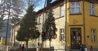 Direktor i nastavnici pišu udžbenike Direktor i nastavnici pišu udžbenike