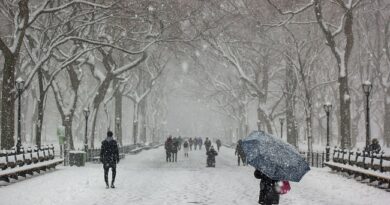 Temperatura noćas drastično pada, biće i kiše i snega i jakog vetra, a stiže i NOVI LEDENI TALAS Temperatura noćas drastično pada, biće i kiše i snega i jakog vetra, a stiže i NOVI LEDENI TALAS