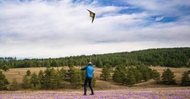 Zlatibor spreman za turiste tokom predstojećih praznika Zlatibor spreman za turiste tokom predstojećih praznika