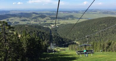 Letnja sezona na Torniku počinje 14. juna Letnja sezona na Torniku počinje 14. juna