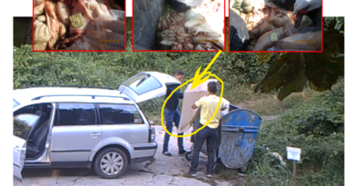 Saopštenje JKP „Komunalac“: Koljem i bacam gde stignem (video) Saopštenje JKP „Komunalac“: Koljem i bacam gde stignem (video)
