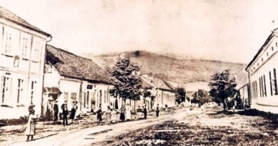 Plakati sa porukom „Hvala dedi na pobedi” Plakati sa porukom „Hvala dedi na pobedi”