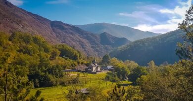Najkraćim putem iz Priboja na Zlatibor Najkraćim putem iz Priboja na Zlatibor