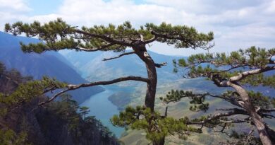 Srpska planina i hrvatske pećine u zajedničkom projektu Srpska planina i hrvatske pećine u zajedničkom projektu