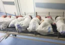 TRI DEČAKA RODJENA U PETAK 25.AVGUSTA