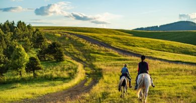 Prvi maj na Zlatiboru – doživljaj planine iz drugačije perspektive
