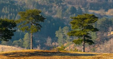 <br>Uskrs na Zlatiboru u duhu tradicije i savremenog odmora